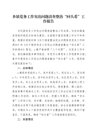 乡镇街道党务工作突出问题清查整治“回头看”工作报告20240814