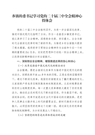乡镇街道的委书记学习党的二十届三中全会精神心得体会20240807