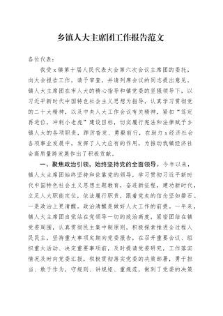 乡镇街道人大工作报告总结汇报