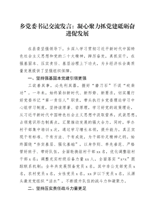 乡镇街道书记交流发言：凝心聚力抓党建 砥砺奋进促发展