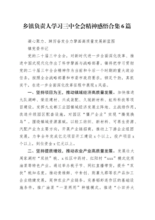 乡镇街道学习三中全会精神心得体会发言6篇（简单版）