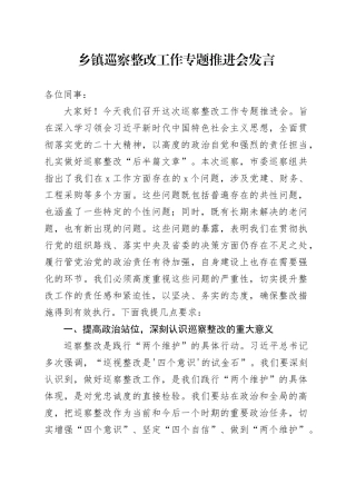 乡镇街道巡察整改工作专题推进会发言