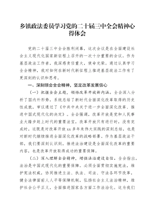 乡镇街道政法委员学习党的二十届三中全会精神心得体会