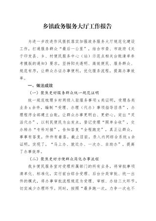 乡镇街道政务服务大厅工作报告总结汇报20241106