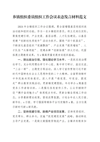 乡镇街道组织委员组织工作会议表态发言材料20240410
