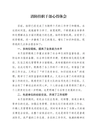 消防挂职干部心得体会