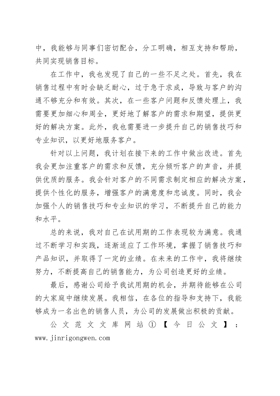 销售助理试用期转正工作小结_第2页