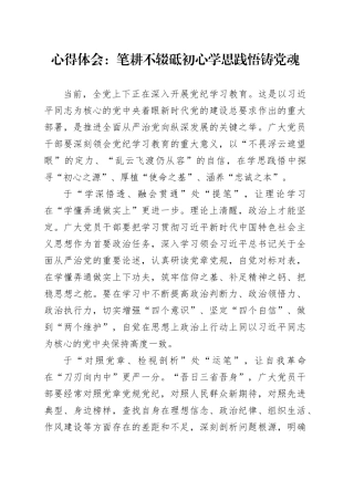 心得体会：笔耕不辍砥初心学思践悟铸党魂