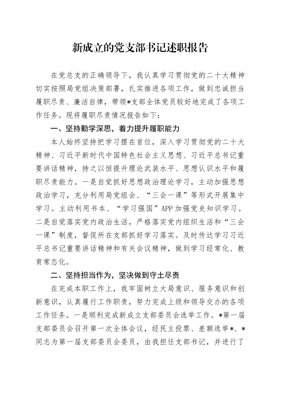 新成立的党支部书记述职报告（1）_第1页