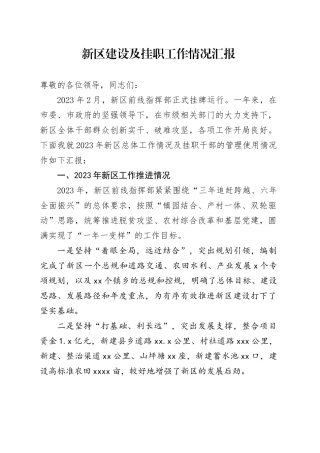 新区建设及挂职工作情况汇报