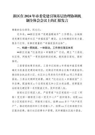新区在2024年市委党建引领基层治理协调机制全体会会议上的汇报发言