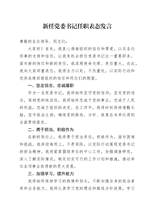 新任党委书记任职表态发言
