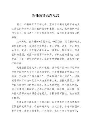 新任领导表态发言