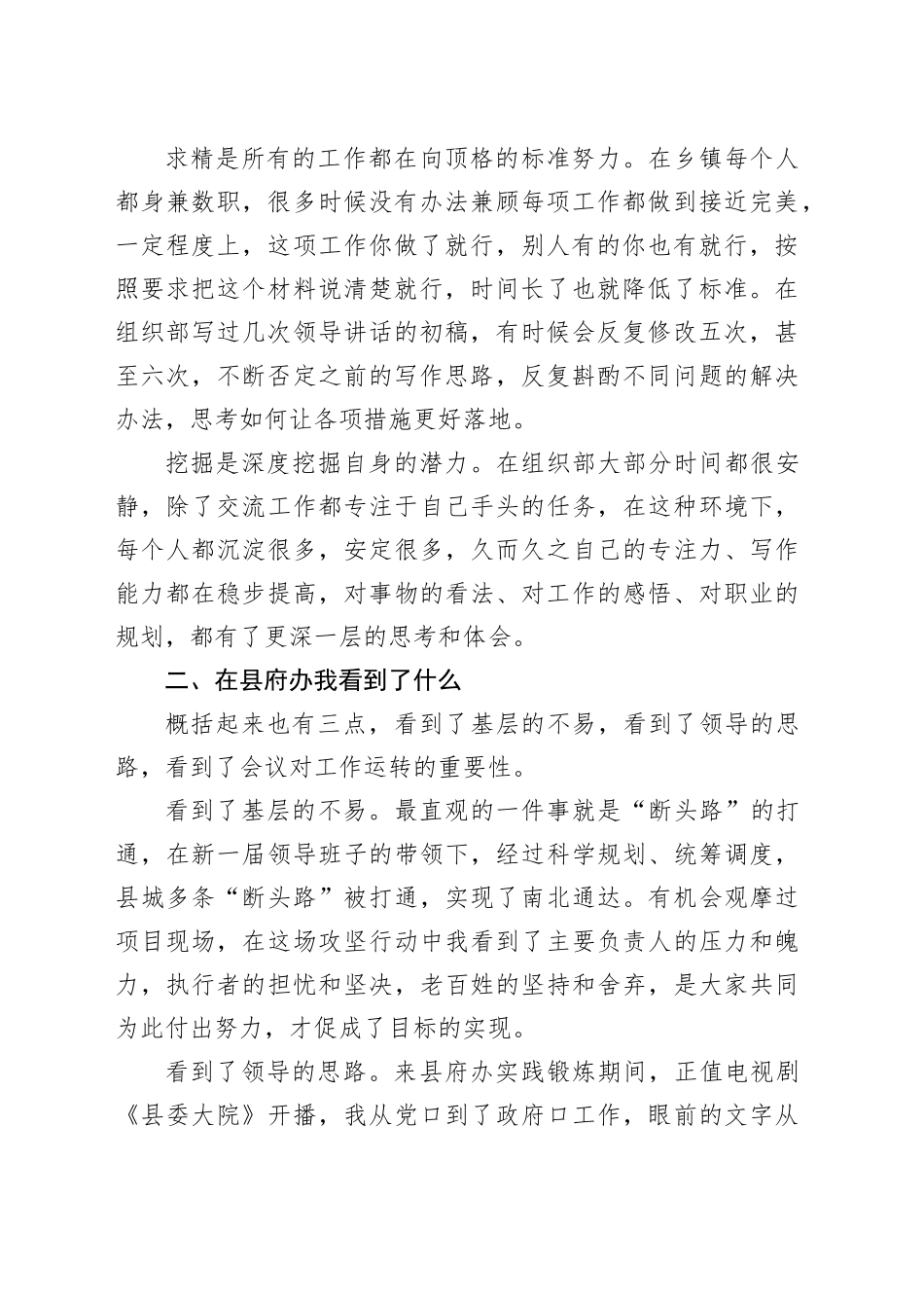 选调生刚到县府办的感悟_第2页