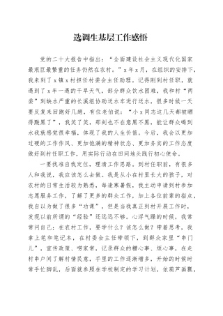 选调生基层工作感悟