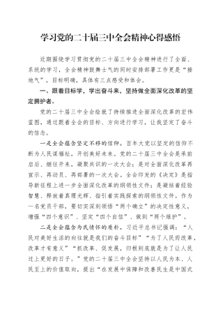 学习党的二十届三中全会精神心得感悟