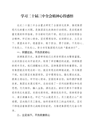 学习二十届三中全会精神心得感悟 （3）