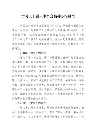 学习二十届三中全会精神心得感悟（公司）
