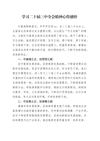 学习二十届三中全会精神心得感悟