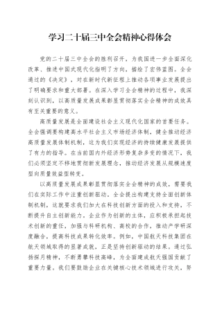 学习二十届三中全会精神心得体会高质量发展研讨发言材料20241016