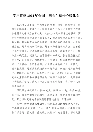 学习贯彻2024年全国“两会”精神心得体会