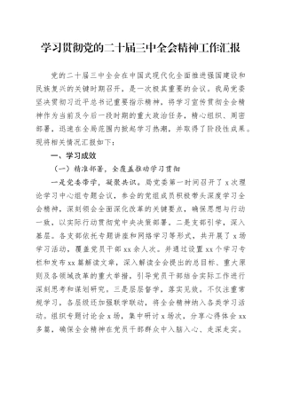 学习贯彻党的二十届三中全会精神工作汇报20241025