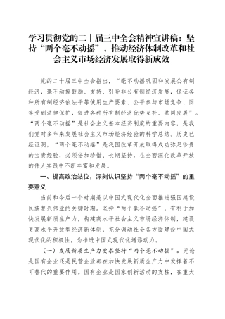 学习贯彻党的二十届三中全会精神宣讲稿：坚持两个毫不动摇,推动经济体制改