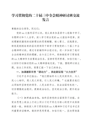 学习贯彻党的二十届三中全会精神研讨班交流发言