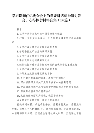 学习贯彻在纪委全会上的重要讲话精神研讨发言、心得体会材料合集（14篇）