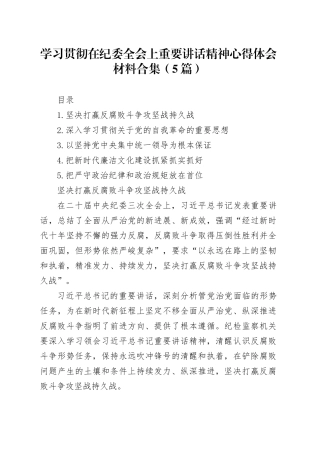 学习贯彻在纪委全会上重要讲话精神心得体会材料合集（5篇）