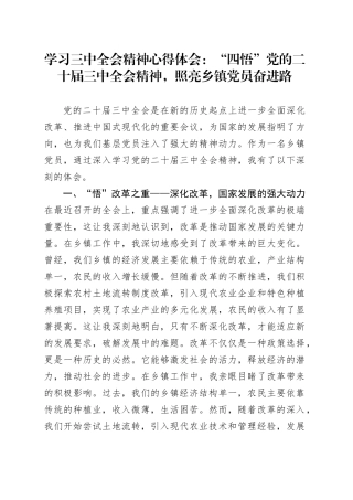 学习三中全会精神心得体会：“四悟”党的二十届三中全会精神，照亮乡镇街道党员奋进路