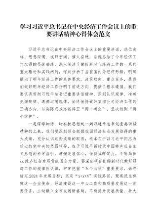 学习习近平总书记在中央经济工作会议上的重要讲话精神心得体会研讨发言材料20240218