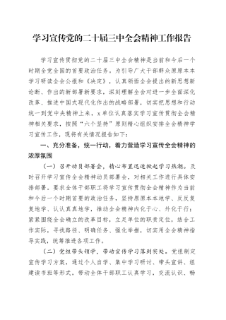 学习宣传党的二十届三中全会精神工作报告总结汇报20241009