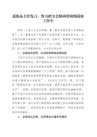 巡察办主任发言：努力把全会精神贯彻到巡察工作中