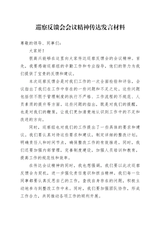 巡察反馈会会议精神传达发言材料