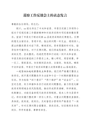 巡察工作反馈会上的表态发言