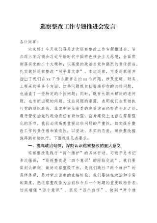 巡察整改工作专题推进会发言（提要求讲话）