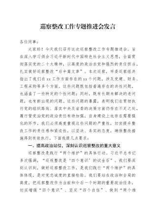 巡察整改工作专题推进会发言