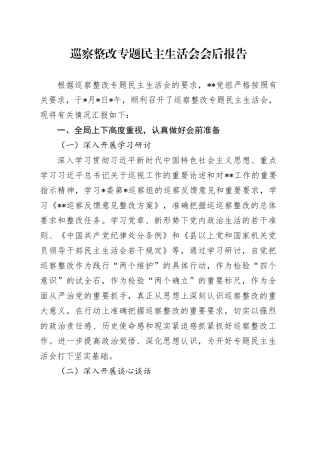 巡察整改专题民主生活会会后报告