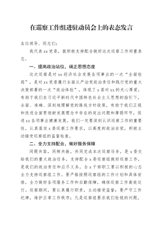 巡察组_进驻动员会的表态发言