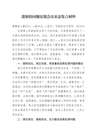 巡察组问题反馈会议表态发言材料