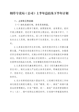 烟草专卖局（公司）上半年总结及下半年计划