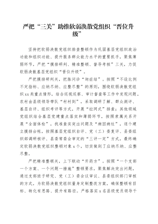 严把“三关”助推软弱涣散党组织“晋位升级”