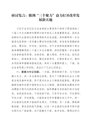 研讨发言：做到“三个聚力” 奋力打开改革发展新天地