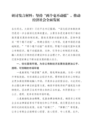 研讨发言材料：坚持“两个毫不动摇”，推动经济社会全面发展20240807