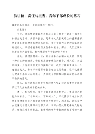 演讲稿：责任与担当，青年干部成长的基石