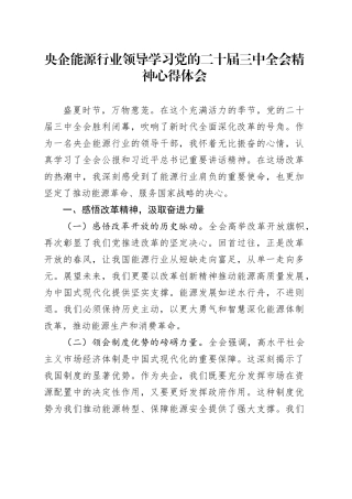 央企能源行业领导学习党的二十届三中全会精神心得体会