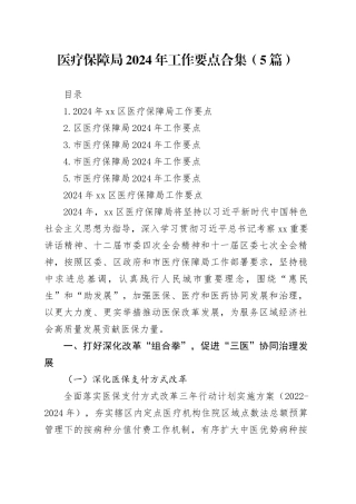 医疗保障局2024年工作要点合集（5篇）
