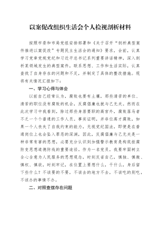 以案促改组织生活会个人检视剖析材料20240802