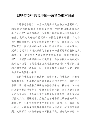 以坚持党中央集中统一领导为根本保证